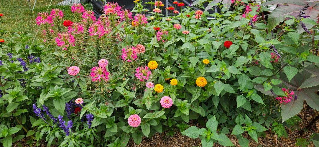 Camping Le Paradis Dordogne Camping Le Paradis Dordogne